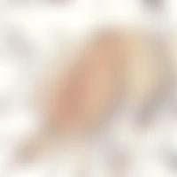 gallery item thumbnail