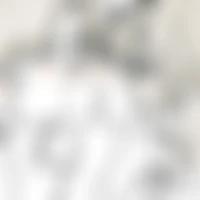 gallery item thumbnail