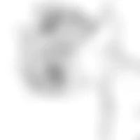 gallery item thumbnail