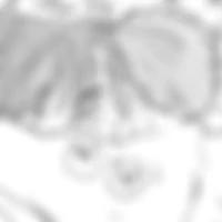 gallery item thumbnail