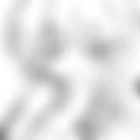 gallery item thumbnail